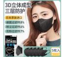 3D立体PM2.5标准口罩5枚入-黑色
